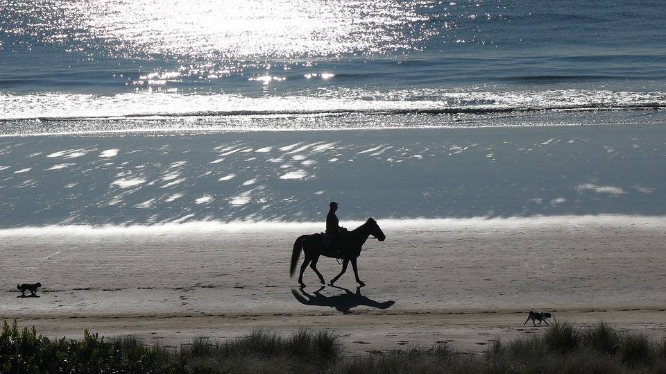 strandrit paarden