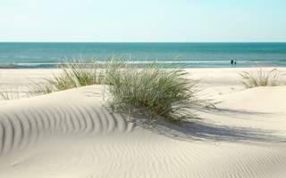 Duinen bij je vakantiehuis