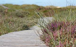 wandelen in de omgeving van je vakantiehuis