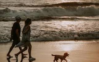 Hond op strand met 2 personen Callantsoog