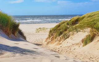 Duinen bij Callantsoog doorgang 